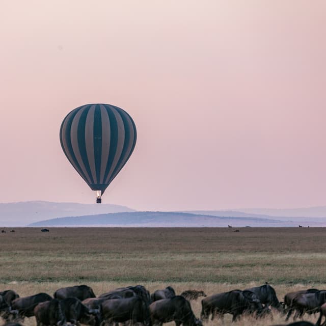 Physics1 (KMITL) final