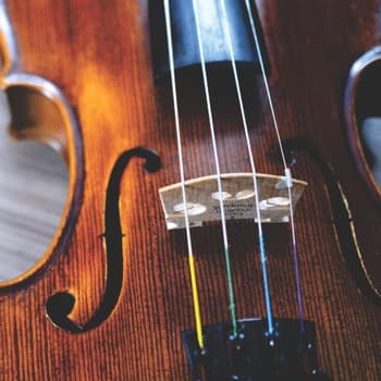 Intro to Calculus (KMITL) final