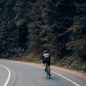 Statics & Dynamics final