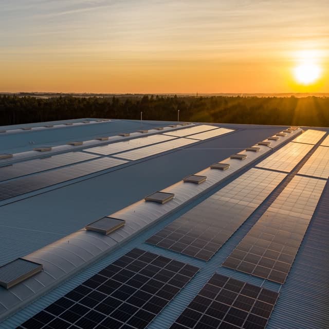 Electromagnetic BIO inter (KMITL) final