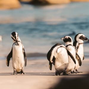 Essential Physics (CU) final