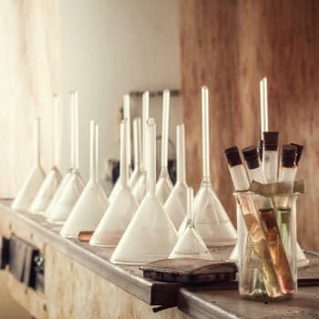 Kinetics Reactors final