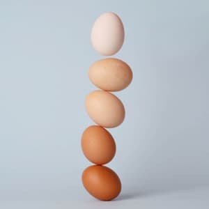 Statics (KKU) midterm