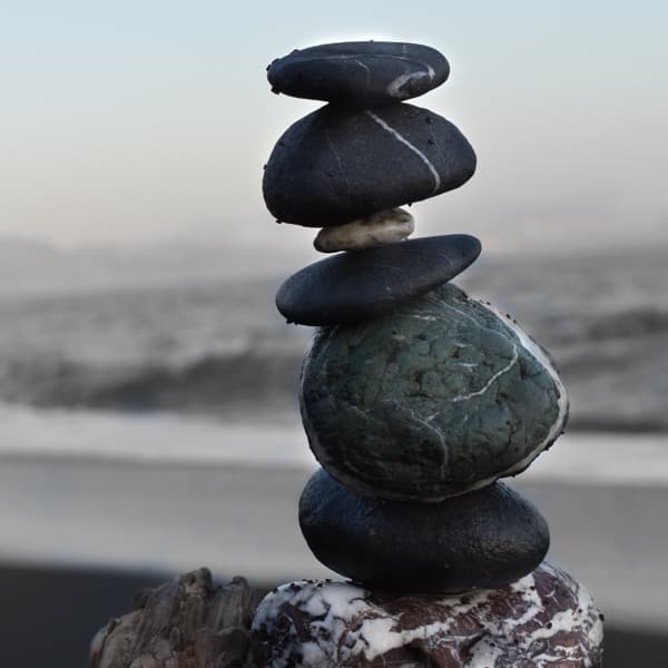 Dynamics (KMUTT) module2