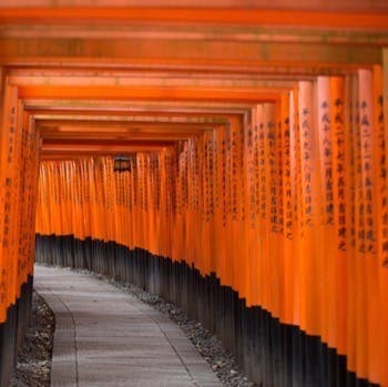 Strength (KMUTT) module2