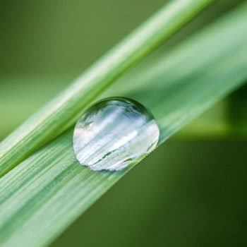 Fluid Mechanics (KMUTT) module2