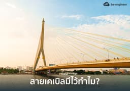 image of สายเคเบิลบนสะพาน มีไว้ทำไม?