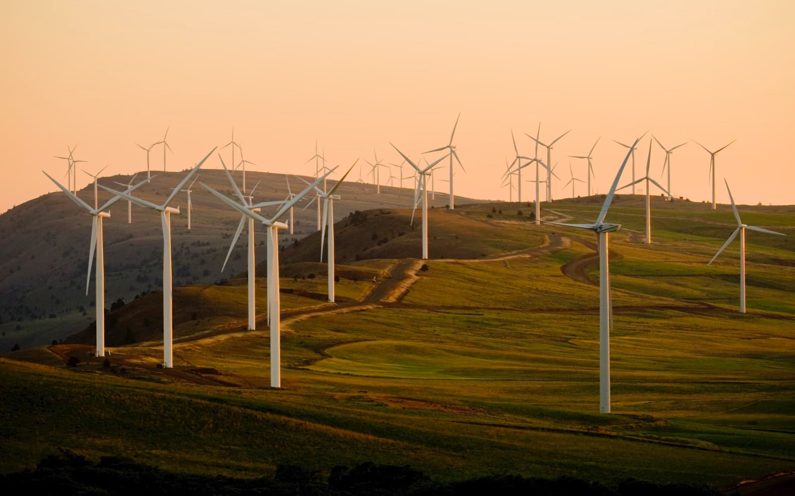 ว_ศวกรรมส__งเเวดล_อม