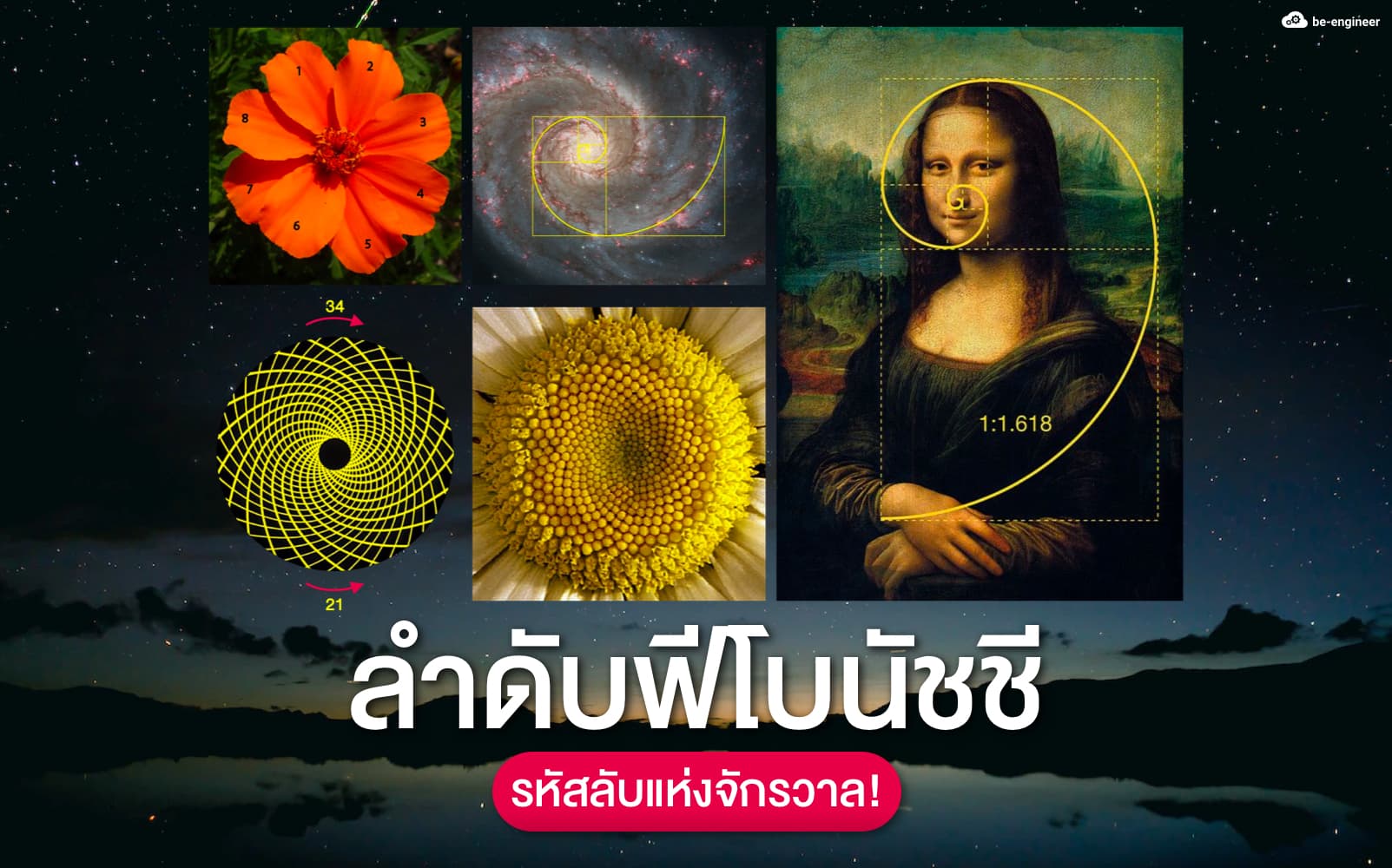 ลำดับฟีโบนัชชี ”รหัสลับแห่งจักรวาล”