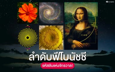 image of ลำดับฟีโบนัชชี ”รหัสลับแห่งจักรวาล”